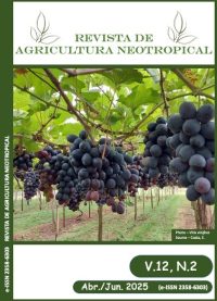 WhatsApp Image 2025-08-15 at 10.37.44